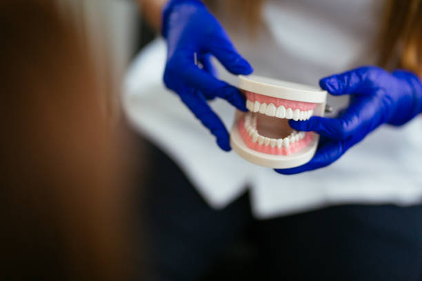 Professional Holistic Dental Care Services in Amery, WI
